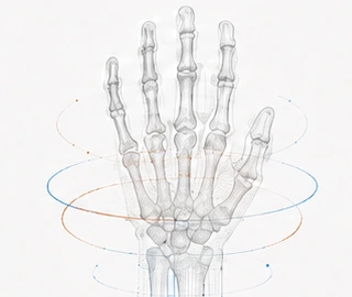 X-Ray illustration